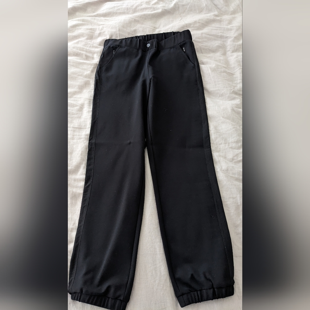 Betabrand Expedition Pants Petite Large